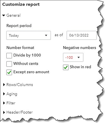 Screenshot of a financial report customization menu with options for date, number format, and filters.