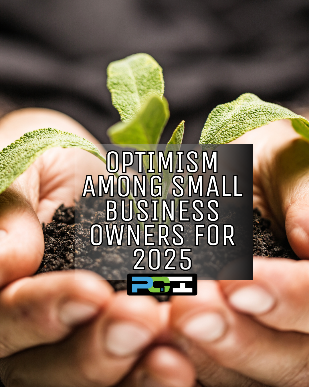 Small business owners are optimistic for future success in 2025. Two hands cupped together holding a sprouting plant and dirt are pictured.