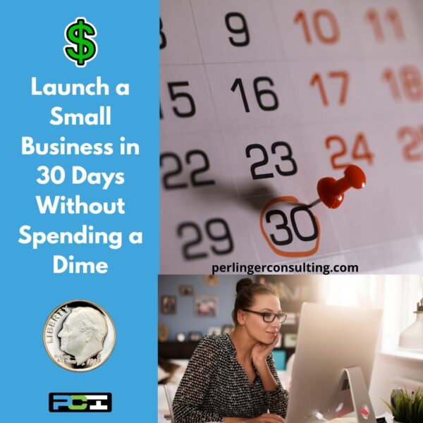 Graphic with the headline “Launch Your Business in 30 Days, Without Spending a Dime,” Perlinger Consulting.