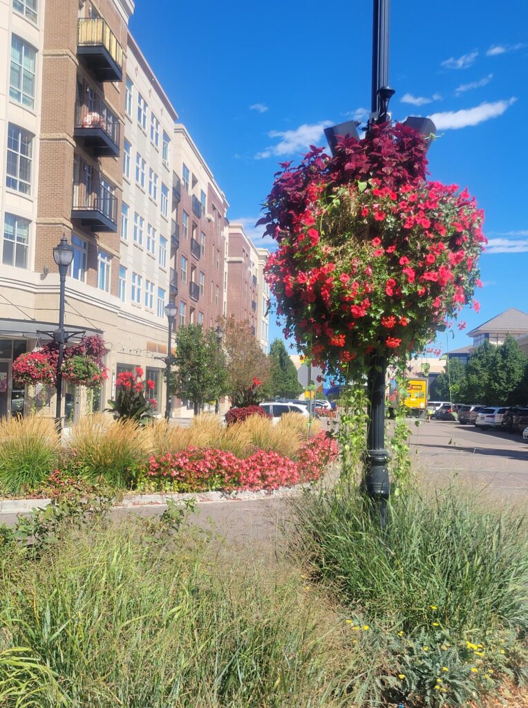 Southglenn Mall plaza is a favorite landmark in
 Centennial, CO.
