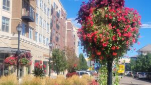 Centennial, CO streetscape near the Southglenn area